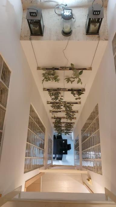 Luxury Complete Building In The Heart Of Sevilla Buitenkant foto