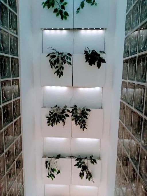 Luxury Complete Building In The Heart Of Sevilla Buitenkant foto